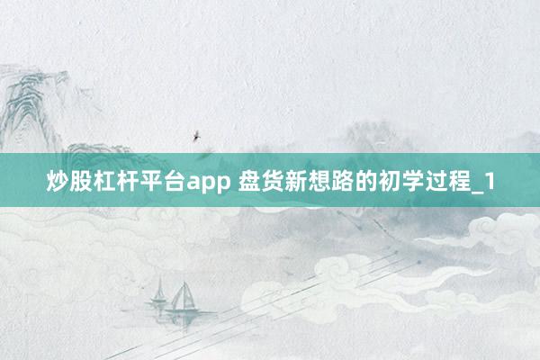 炒股杠杆平台app 盘货新想路的初学过程_1